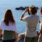 Land-Based Whale Watching